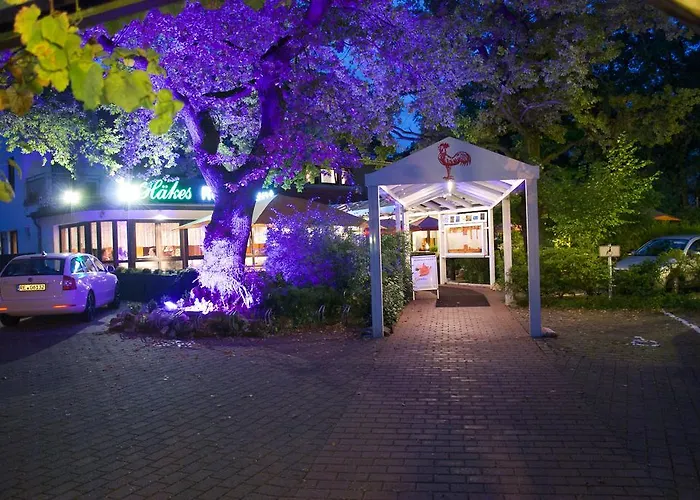 Hotel-restaurant Roter Hahn Hotel Rüsselsheim