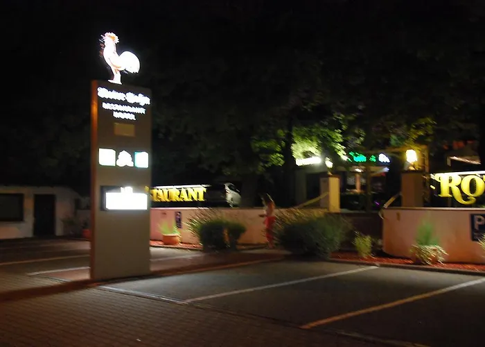 Hotel-restaurant Roter Hahn Hotel 3*